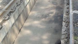 BPL old pitlines (5)