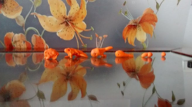 IMG_20160228_131328175